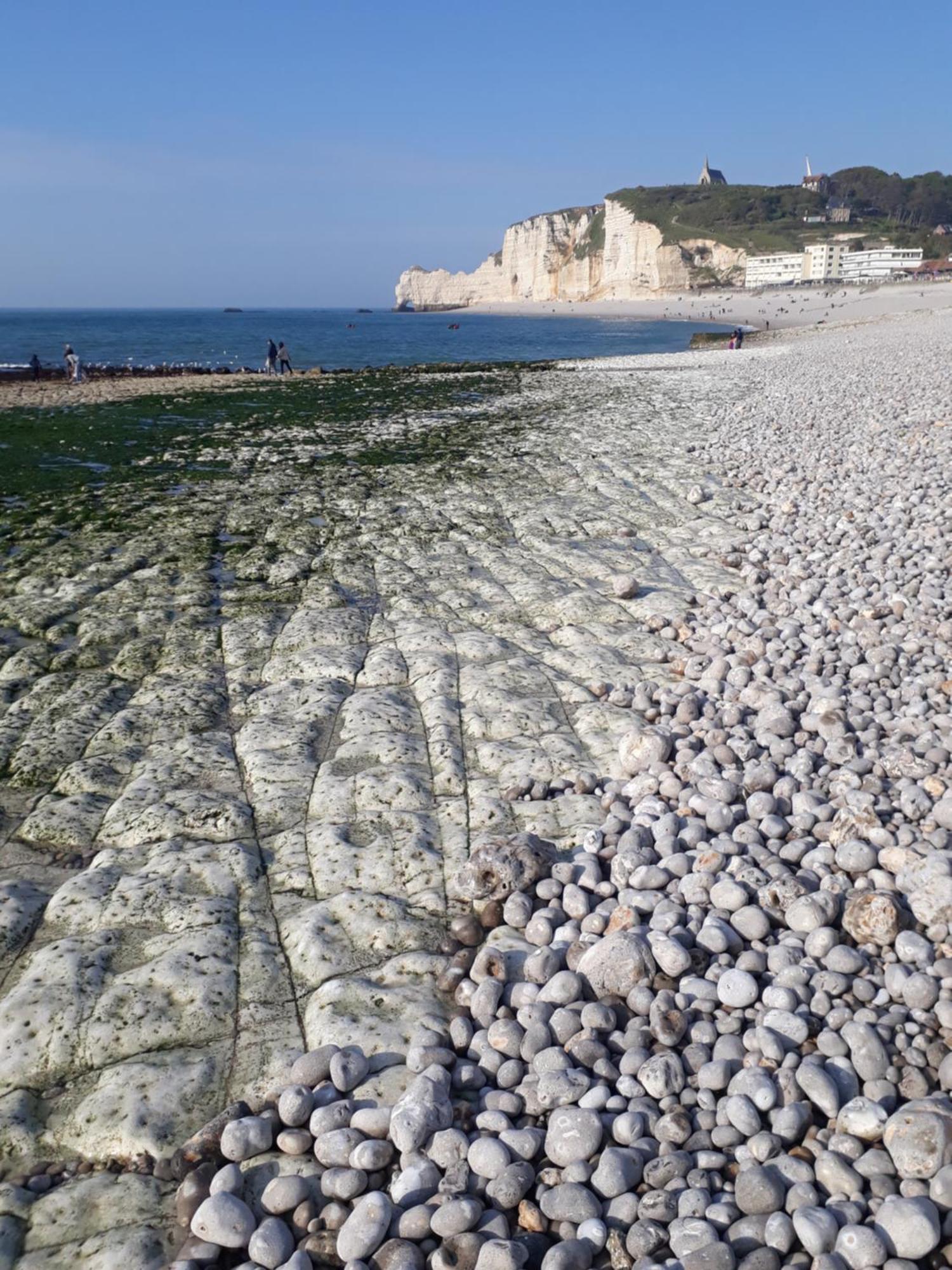 "La Maison Du Pecheur" - De L'Espace A 2Mn De La Mer - 58M2 - 6Max Étretat Kültér fotó